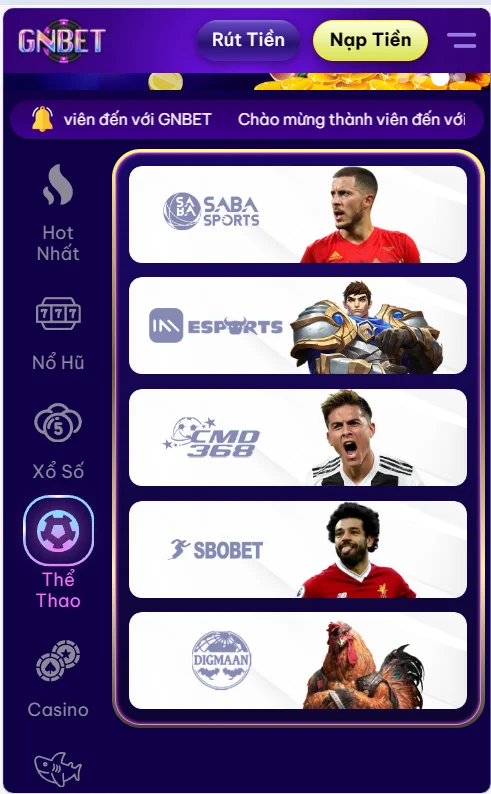 GNBET liên kết đa dạng sảnh thể thao cho cược thủ