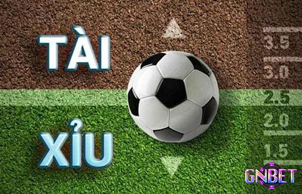 Cách tính tài xỉu bóng đá như thế nào?