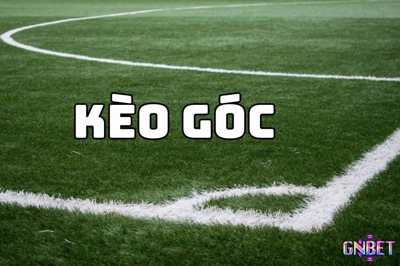 Các công cụ và nguồn thông tin ảnh hưởng kết quả kèo tài xỉu